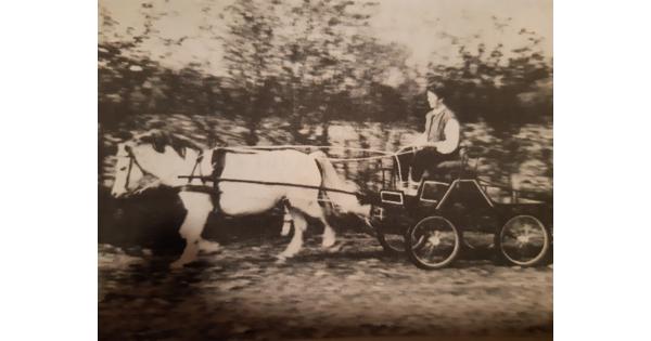 Menwagen voor pony van ongeveer 1.20m en leren tuig